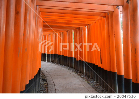 Senbon Torii 20047530