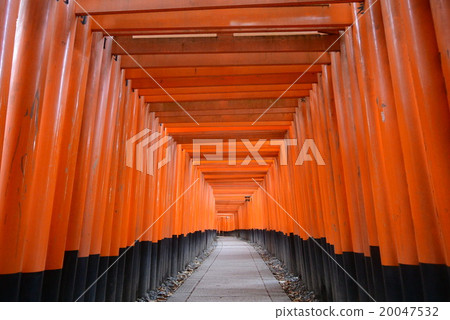 Senbon Torii 20047532