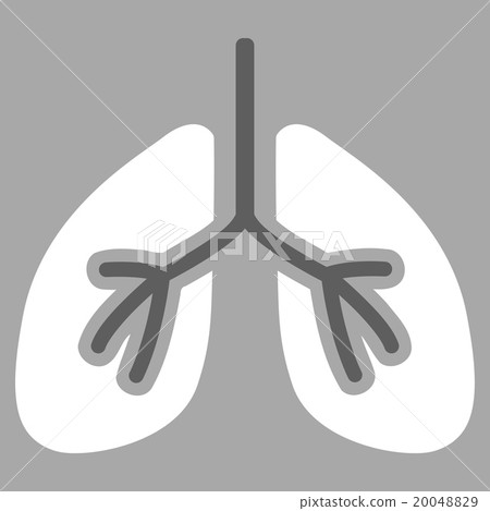 Lungs Flat Icon Lungs Flat Icon 20048829