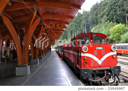 阿里山火車 20049967