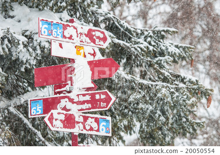 Especially on the legs of man running  20050554