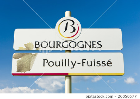 Pouilly-Fuisse, Cote Maconnais, Burgundy, France Pouilly-Fuisse, Cote Maconnais, Burgundy, France 20050577