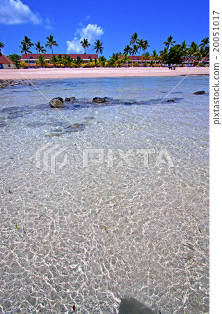 beautiful andilana beach seaweed in indian house 20051017