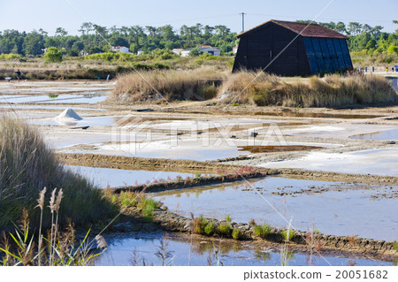 saline, Port des Salines, Oleron Island, France 20051682