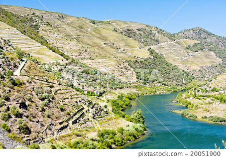 Douro Valley, Portugal 20051900