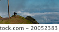 Brown Donkey standing on mountain above the clouds 20052383
