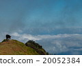 Brown Donkey standing on mountain above the clouds 20052384