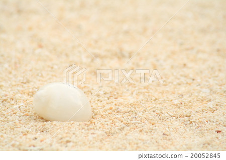Beach scenery Beach scenery 20052845