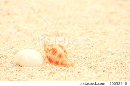 Beach scenery Beach scenery 20052846