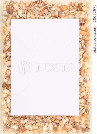 Message with a shell Message with a shell 20052973