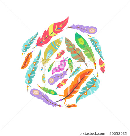 Vector Colored Feathers Set 20052985