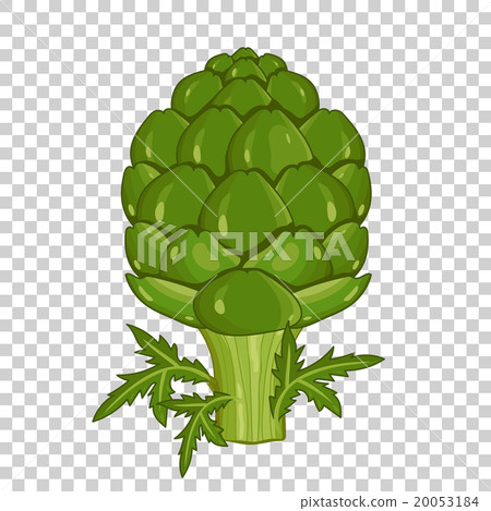 Artichoke isolated, organic food, farm food. Artichoke isolated, organic food, farm food. 20053184
