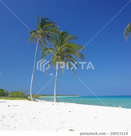 Maria la Gorda Beach, Pinar del Rio Province, Cuba Maria la Gorda Beach, Pinar del Rio Province, Cuba 20053329