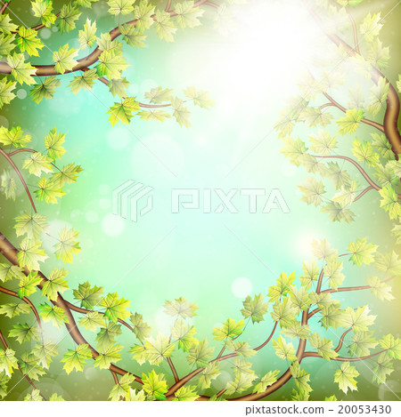 Season branches with fresh green leaves. EPS 10 Season branches with fresh green leaves. EPS 10 20053430