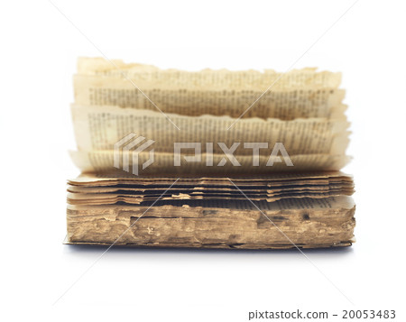 Old book ruined by termite 20053483