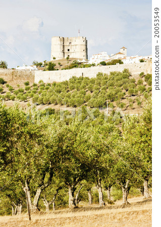 Evoramonte, Alentejo, Portugal 20053549