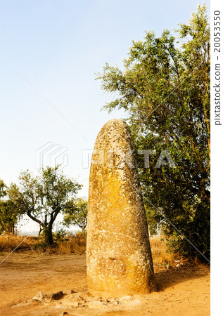 menhir in Almendres near Evora, Alentejo, Portugal 20053550