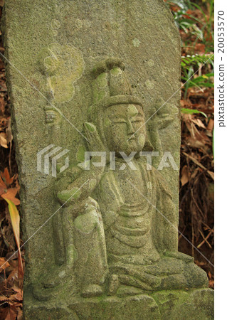 石佛Noda Roshikon 石佛Noda Roshikon 20053570