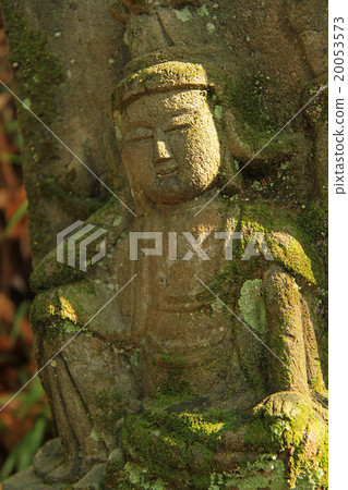 石佛Noda Roshikon 石佛Noda Roshikon 20053573