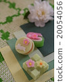 Japanese Pattern of Kyoto Sweets and Aperture 20054056