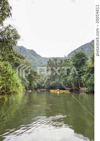 Canoe in the Iriomote Island Hinai River Canoe in the Iriomote Island Hinai River 20054811