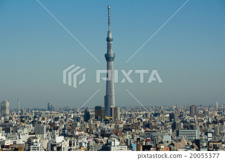 東京天空樹 東京天空樹 20055377