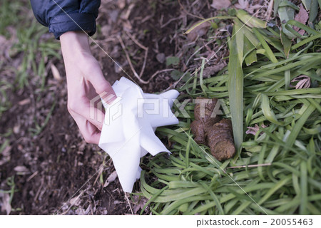 狗的糞便治療 狗的糞便治療 20055463