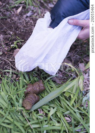 狗的糞便治療 20055464