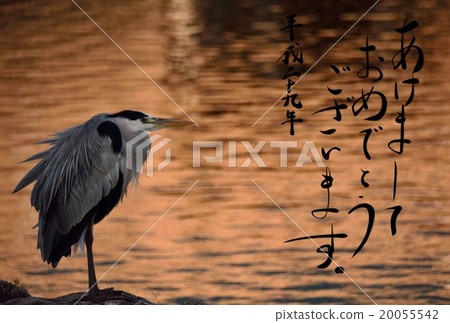 New Year's Card "Ega" 20055542