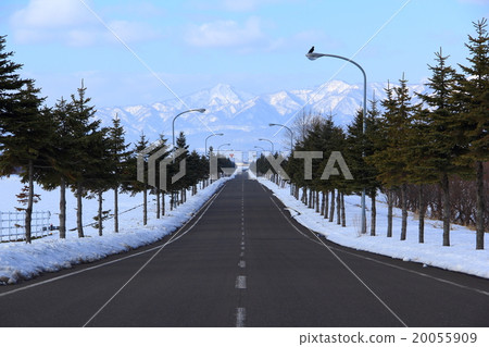 road  road  20055909