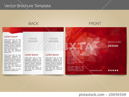 Vector template for leaflet 20056509