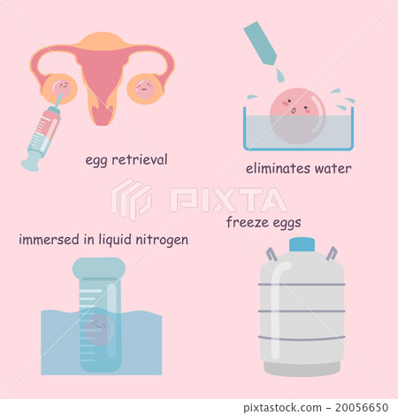 Freezing egg process 20056650
