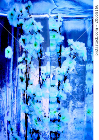 Monochrome flowers frozen into the ice box 20058166
