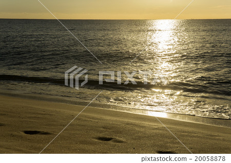 發光在早晨太陽的海 發光在早晨太陽的海 20058878
