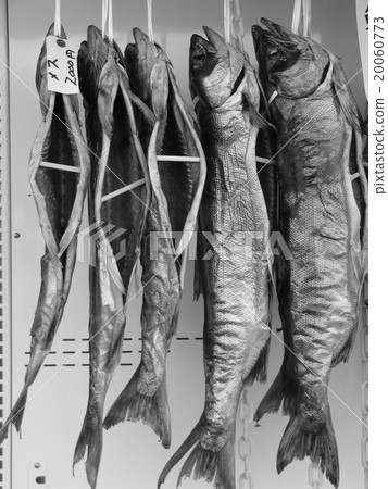 新卷三文魚 新卷三文魚 20060773