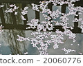 水杯 20060776