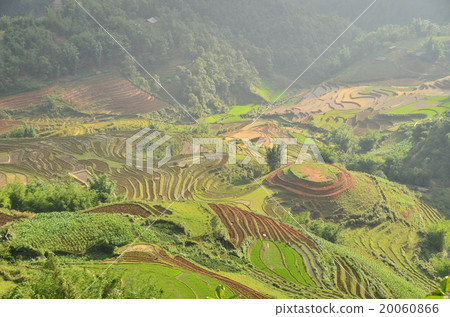 Vietnamese villages of the Sapamon tribe and beautiful rice terraces 20060866