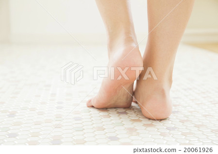 身體部位腳 身體部位腳 20061926