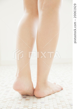 身體部位腿 身體部位腿 20061929