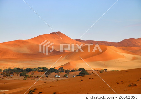Namib Desert 20062055