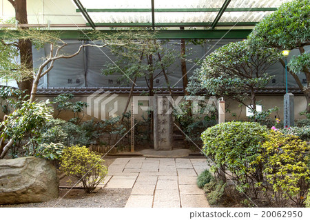 The head of the gate 20062950