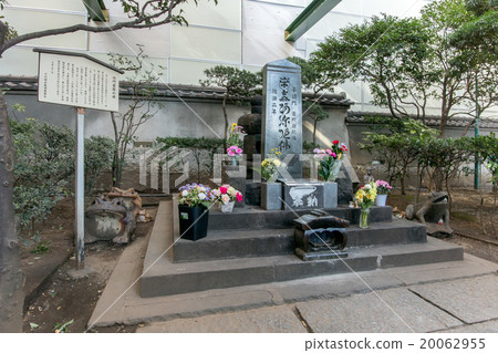 門的頭 20062955