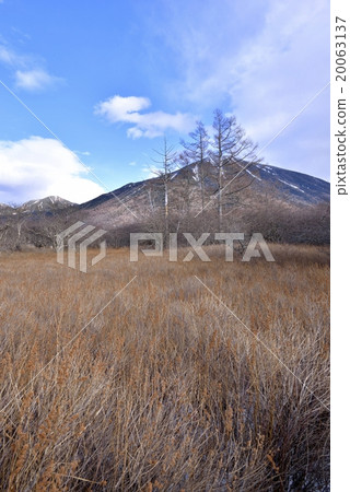 Oku-Nikko·Senjogahara和Mt. 20063137