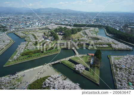 View from Goryokaku Tower 20063647