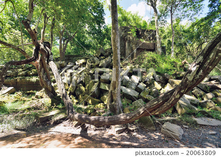 Cambodia Siem Reap Ben Melia ruins Cambodia Siem Reap Ben Melia ruins 20063809
