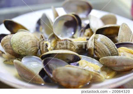 蒸竹蛤 蒸竹蛤 20064320