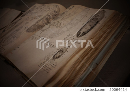 關於寄生蟲的文獻 20064414