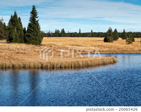 Dead pond, Ore Mountains, Czech republic 20065426