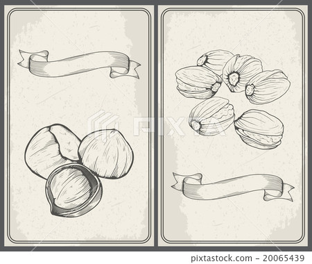 Set of nuts: Hazelnuts and Pistachios. Hand drawn 20065439