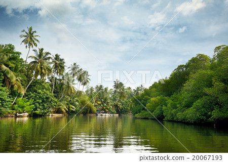 Equatorial forest and boats on the lake Equatorial forest and boats on the lake 20067193